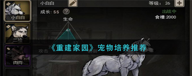 《重建家園》寵物培養(yǎng)方法