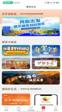 慧采鯨選