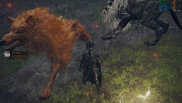 《艾爾登法環(huán)》全新的召喚組合MOD