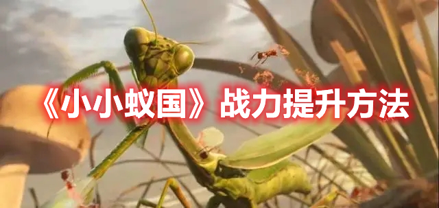 《小小蟻國(guó)》戰(zhàn)力提升方法