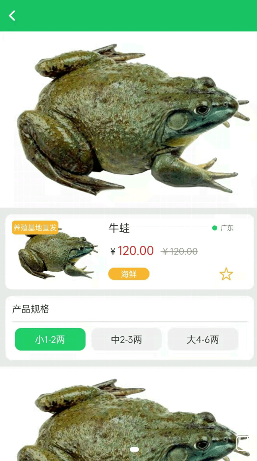 曉能批發