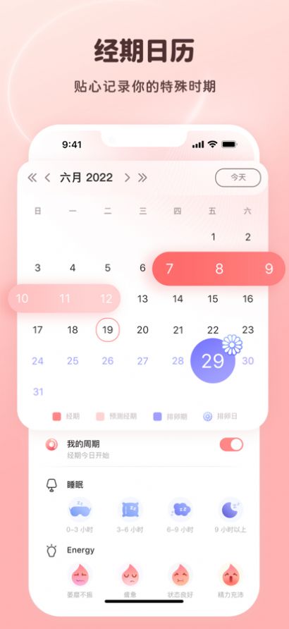 姨媽小日歷