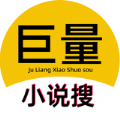 巨量小說(shuō)搜