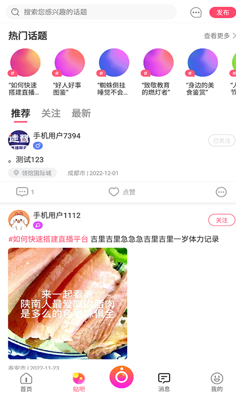 迷鷺