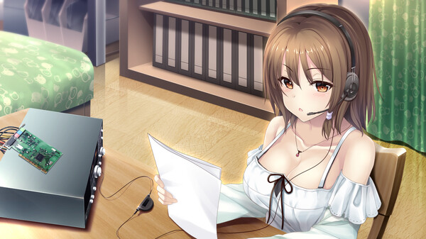 未來(lái)無(wú)線(xiàn)電與人工鴿steam版