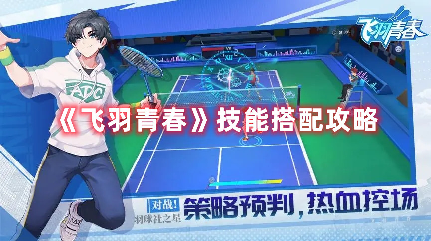 《飛羽青春》技能搭配攻略