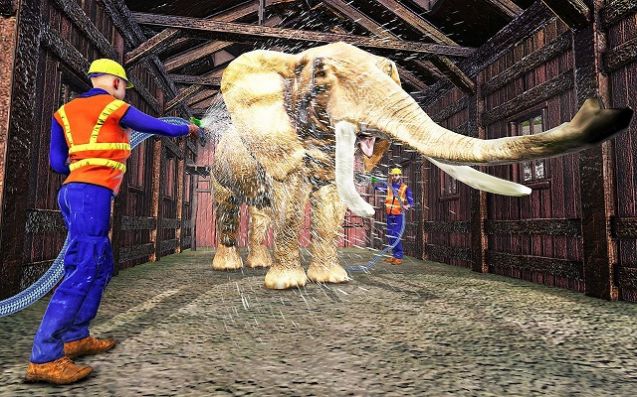 美國動物運(yùn)輸