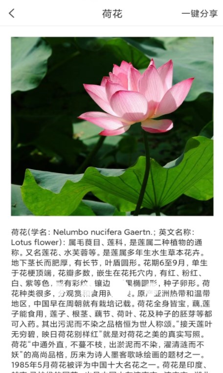 拍照識物全能王