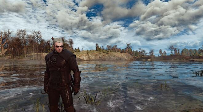《巫師3次世代版》Reshade自然色調和光照畫面MOD