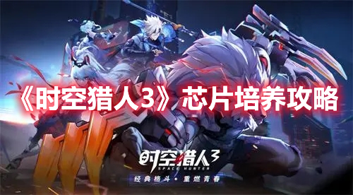 《時空獵人3》芯片培養(yǎng)攻略