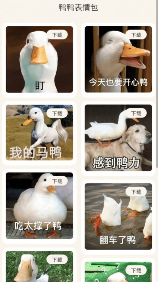 沖鴨流量