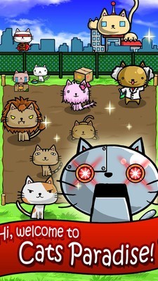 猫咪星球