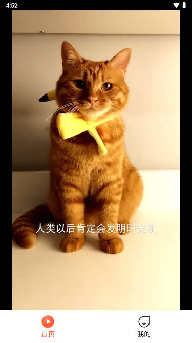 飛魚短劇