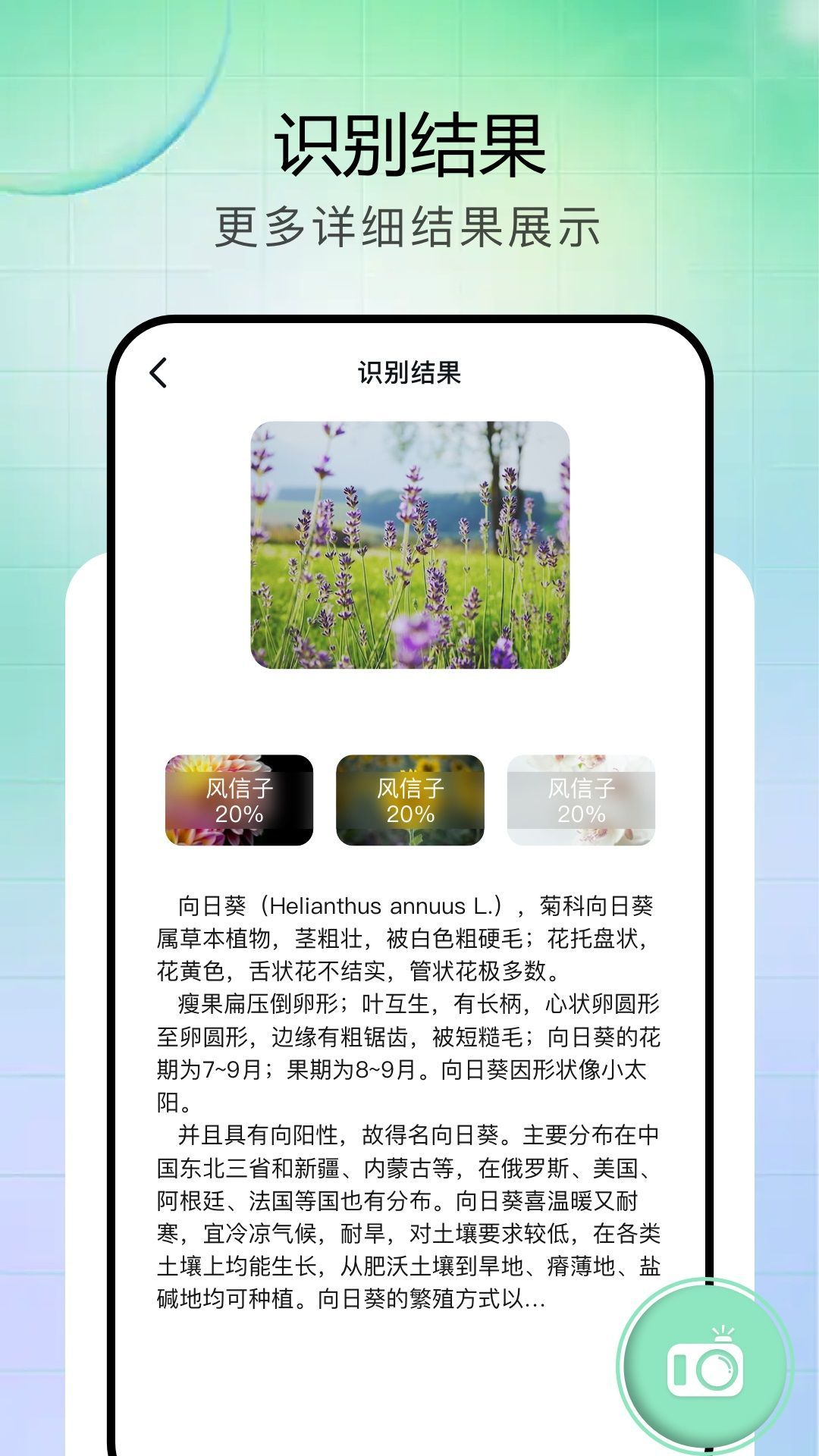 vFlat全能扫描王