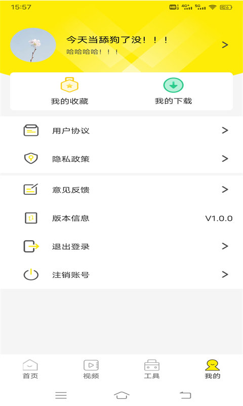 四季視頻壁紙