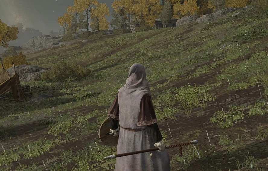 《艾爾登法環》性能提升MOD