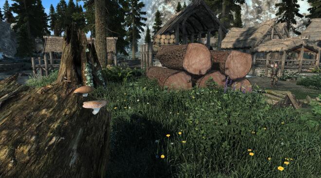 《上古卷軸5：天際重制版》歡樂小樹MOD[v2.03版|附簡體中文漢化]
