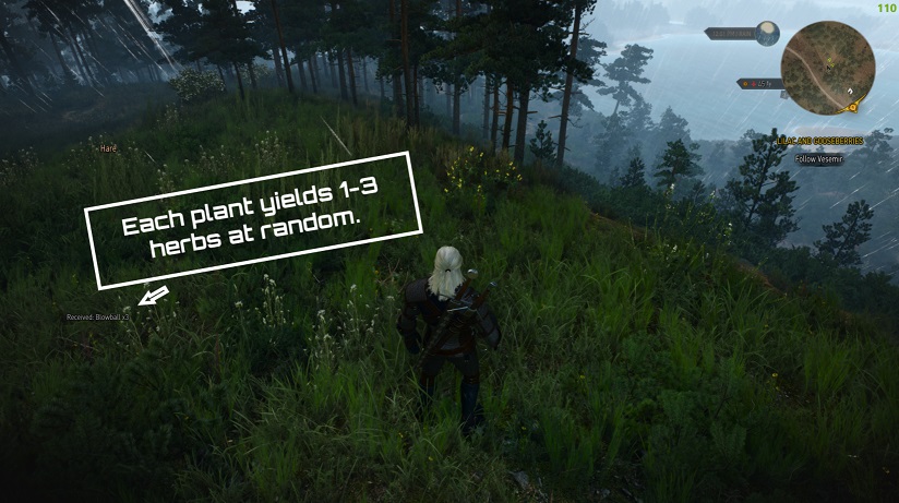 《巫師3次世代版》獲得更多草藥MOD