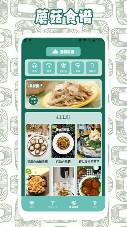 蘑菇識別助手