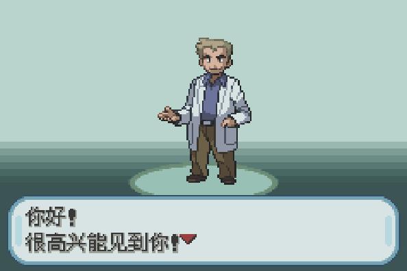 口袋妖怪：圣灰