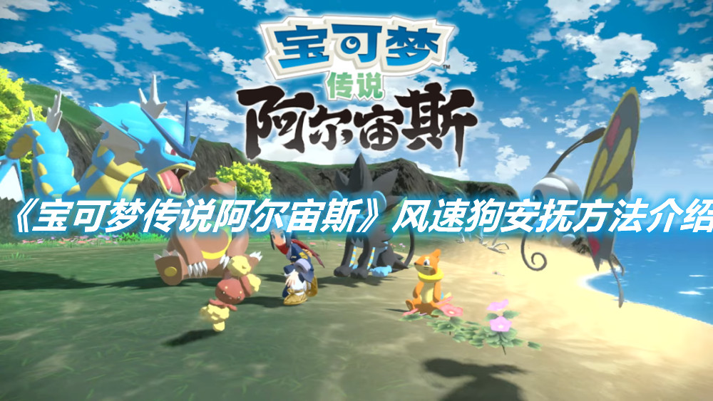 《寶可夢傳說阿爾宙斯》風(fēng)速狗安撫方法介紹