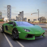 終極真實停車場