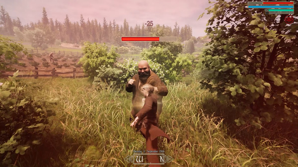 偵探施密特：巴伐利亞故事