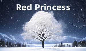 紅色公主