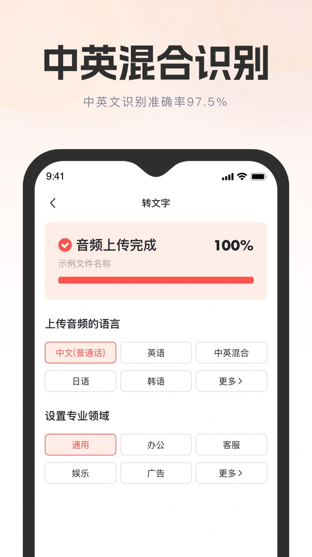 飛兔看見錄音轉(zhuǎn)文字