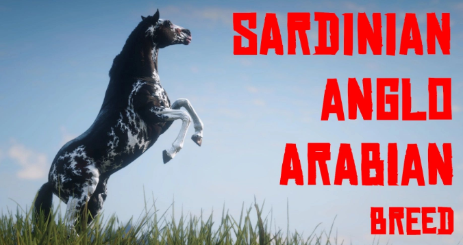 《荒野大鏢客2》Sardinian Anglo-Arabian撒丁島盎格魯阿拉伯馬MOD