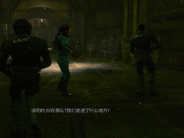 《黑道圣徒4》女角色清涼體模式MOD