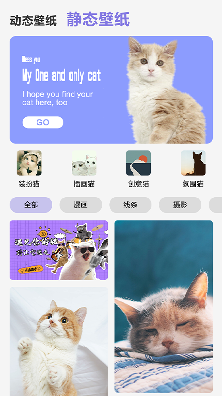 可愛喵喵壁紙大全