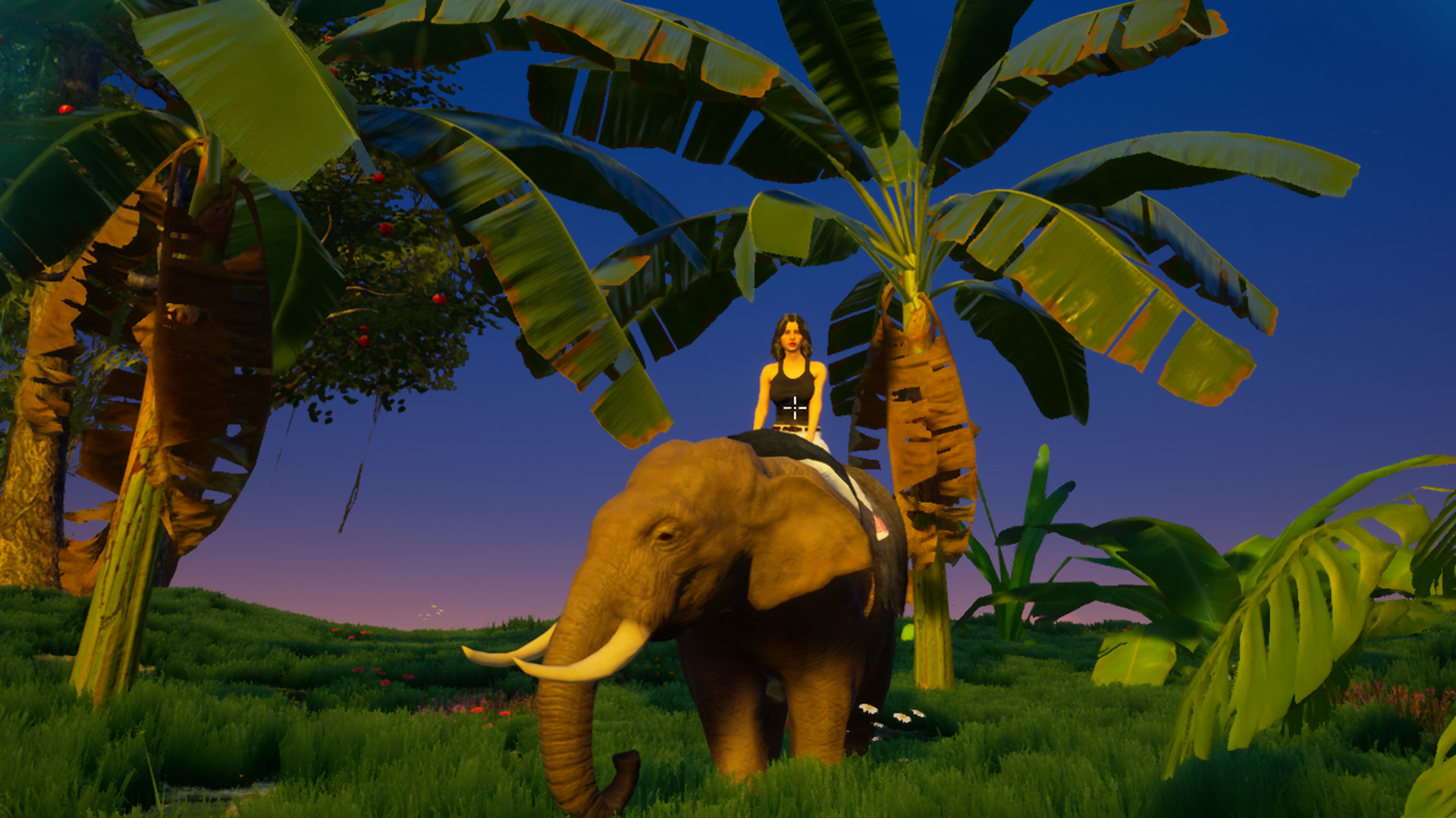 我的海島中文版