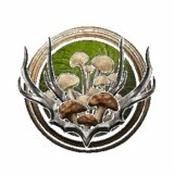 《博德之門3》孢子結(jié)社額外攻擊MOD