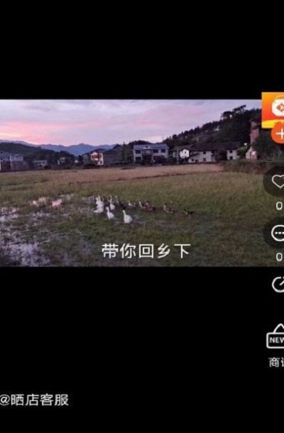 曬店