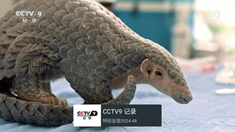 小腦斧電視