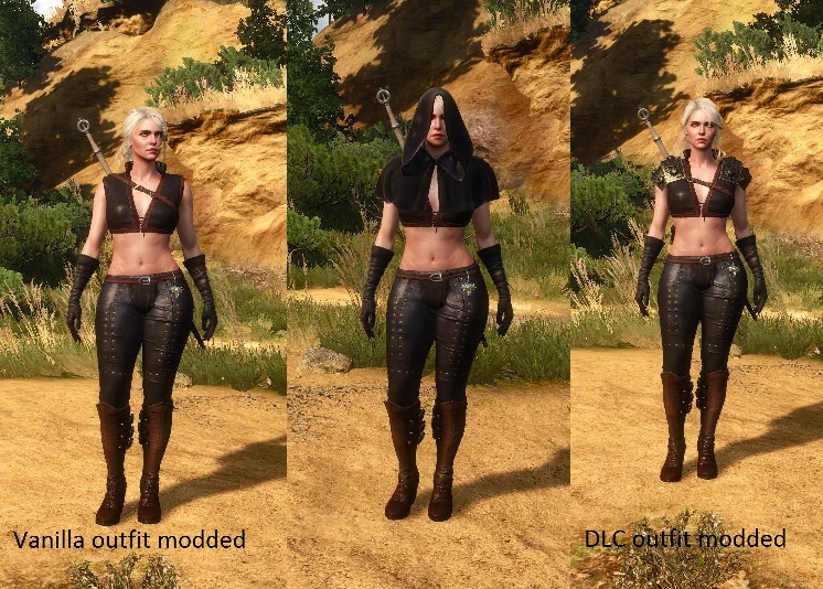 《巫師3次世代版》希里新的皮衣MOD