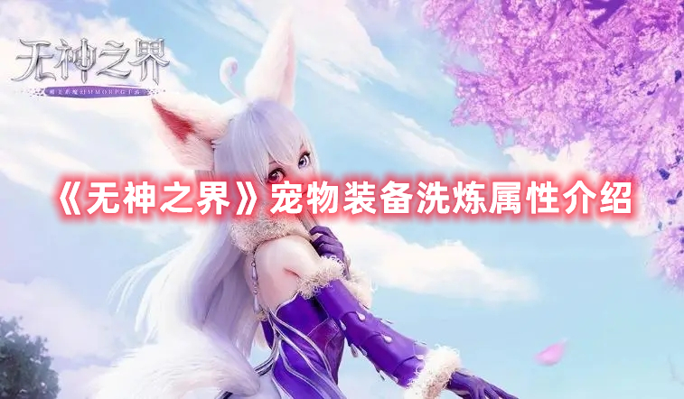 《無神之界》寵物裝備洗煉屬性介紹