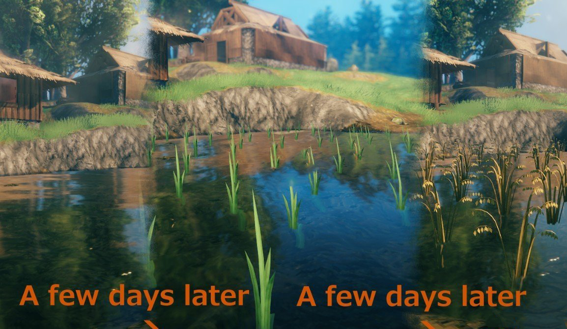 《Valheim：英靈神殿》大米MOD