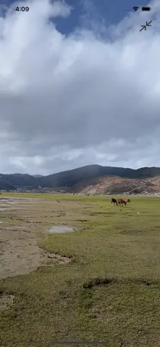 全景萌圖