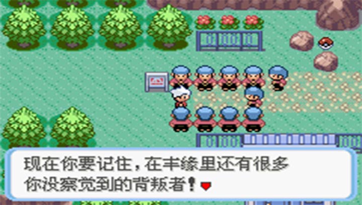 口袋妖怪蛇紋木