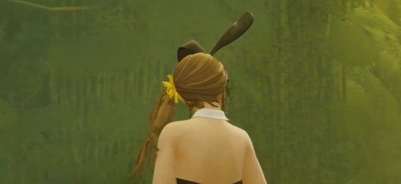 《師父》女性可扮演死或生兔女郎海咲MOD