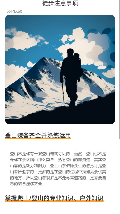 素雅計步