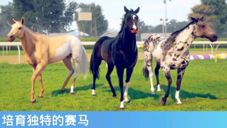 奔跑的馬