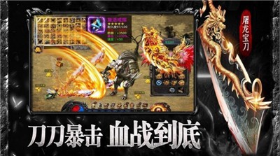 鳳龍單職業
