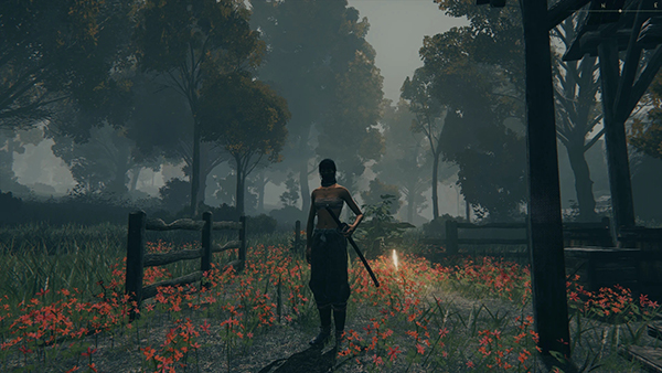 《艾爾登法環》加深畫質顏色MOD