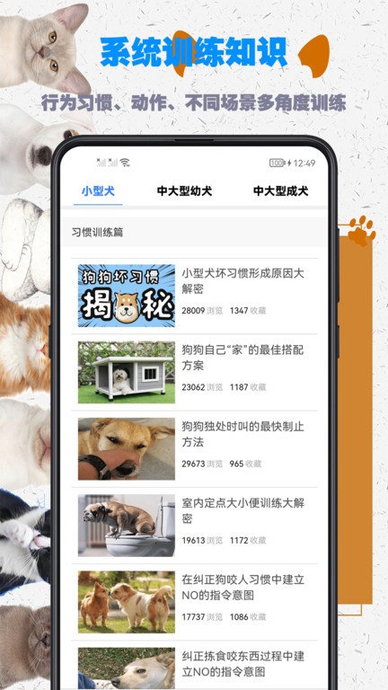 訓狗教程大全