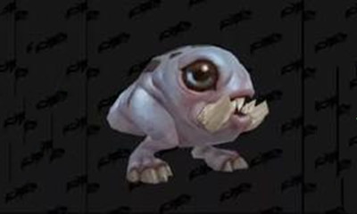 《魔獸世界》寵物抱齒獸寶寶獲取攻略