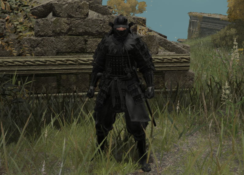 《艾爾登法環(huán)》黑暗武士版蘆葦之地鎧甲MOD