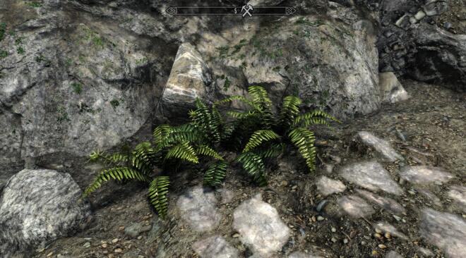 《上古卷軸5：天際重制版》照片級真實3D劍蕨MOD